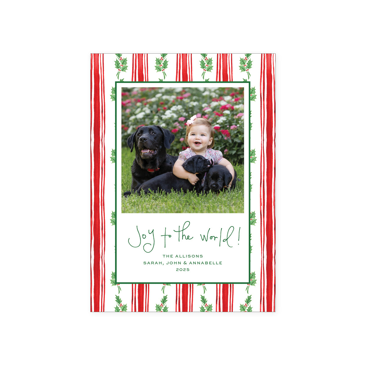 Holly Stripe Holiday Card