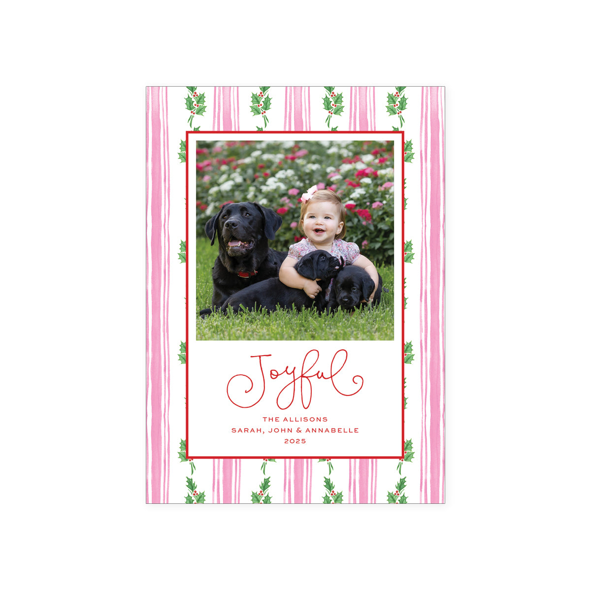 Holly Stripe Holiday Card