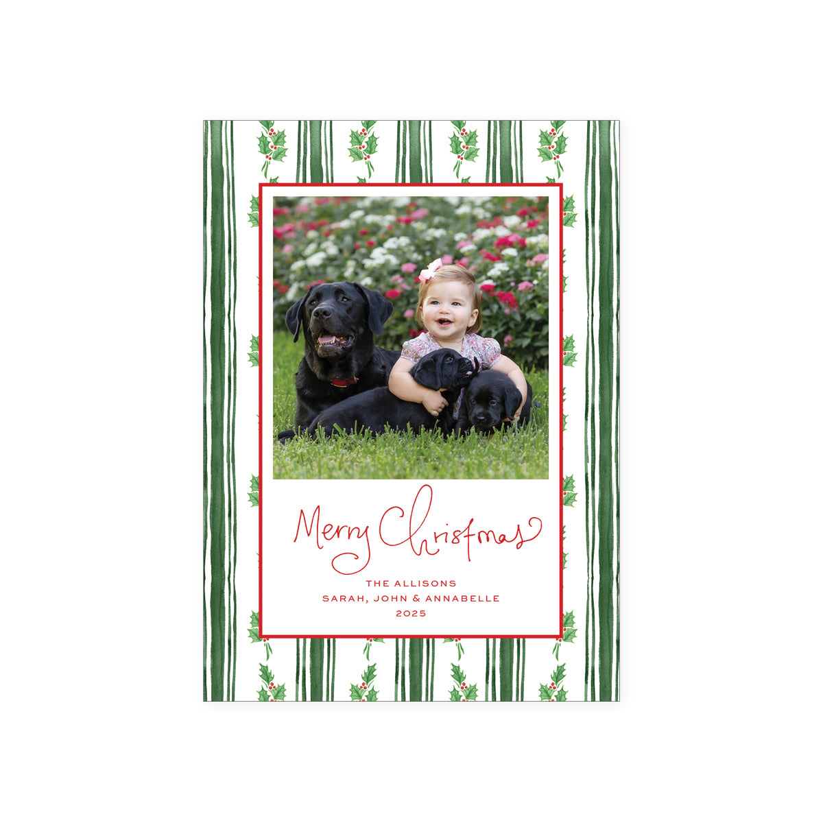 Holly Stripe Holiday Card