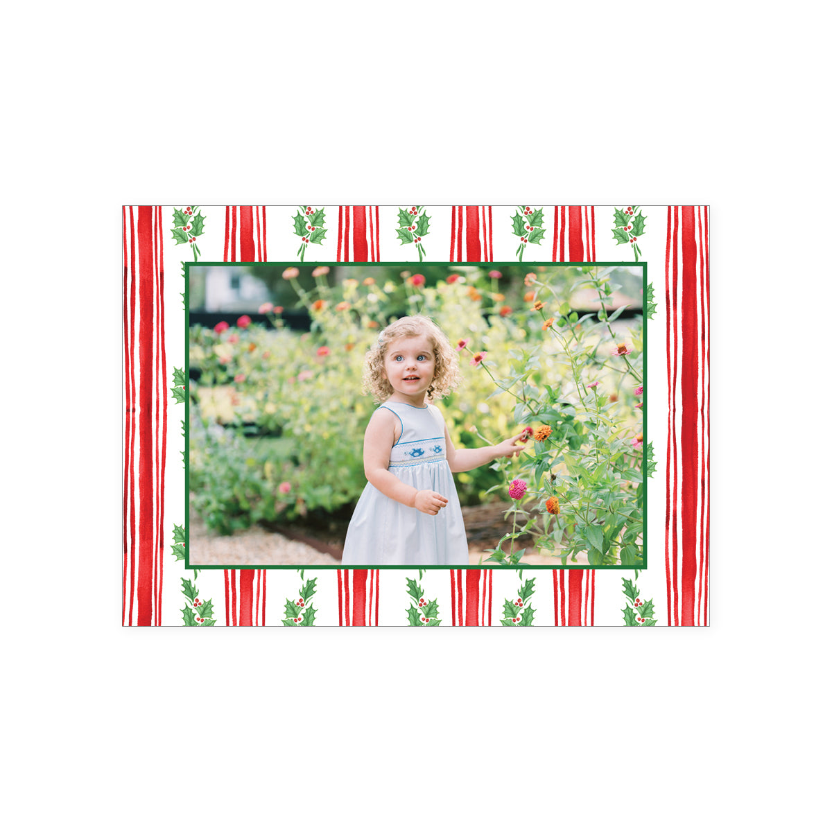 Holly Stripe Holiday Card